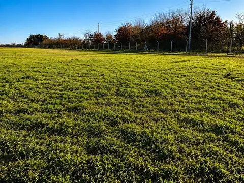 Terreno en Venta de 1001,0 m2
