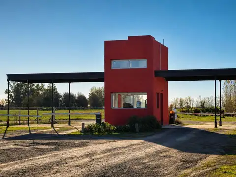 Barrio Norte 100