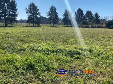 Terreno en Venta 50  mts Fondo
