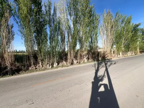 Julio Lemos y San Miguel 3000