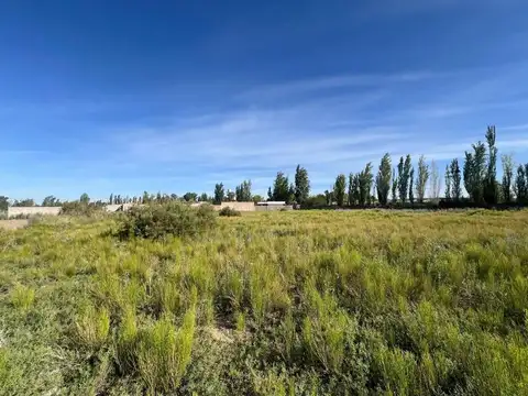 Terreno en Venta 60  mts Fondo
