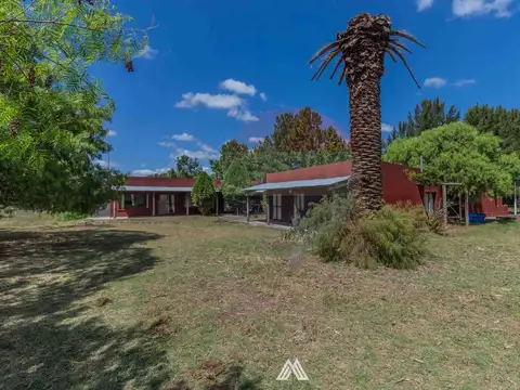 Venta CAMPO 29ha 2 CASAS en Est. Pedrera Ruta 88