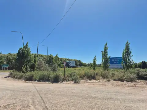 Terreno en Venta en Cinco Saltos, USD 150.000