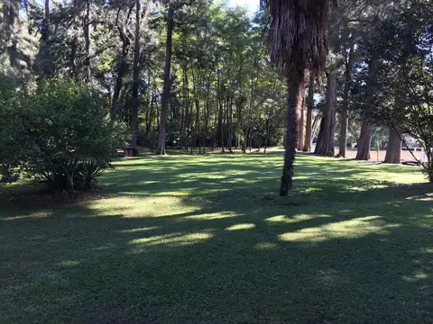 Rio Chana 2