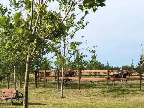 Terreno en Venta de 1000,0 m2