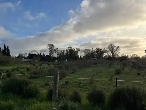 LOTE TERRENO EN VENTA EN VILLA ELISA