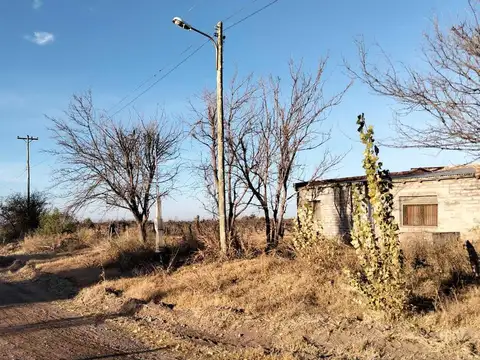 Venta Finca en Real del Padre, San Rafael, Mendoza