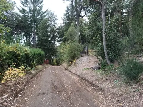 Las Gallaretas al 100