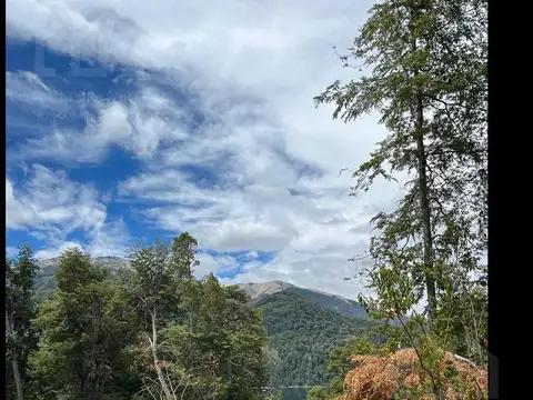 Las Gallaretas al 100