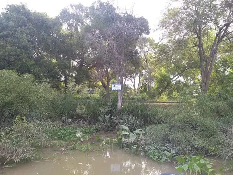 Rio / Arroyo Canal B 100