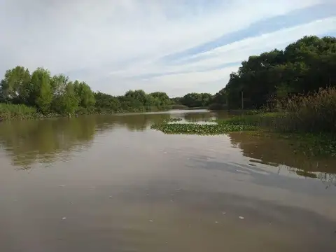 Terreno Lote  en Venta en Zona Delta, Tigre, G.B.A. Zona Norte