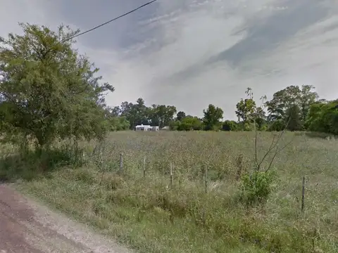 Los Naranjos e/ Los Álamos y Antonio Francisco Cafiero