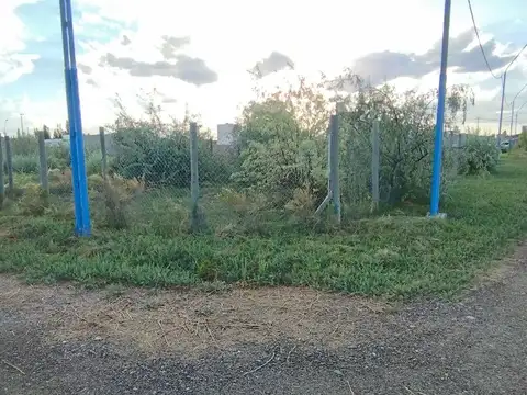 Terreno en Venta de 464,0 m2