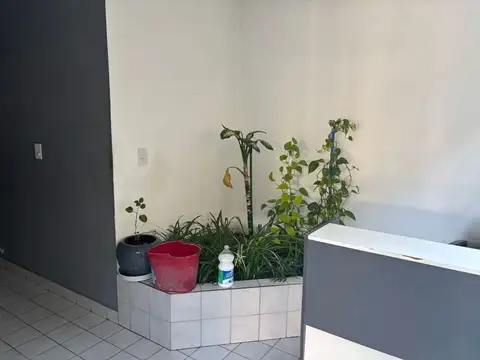 Departamento en Alquiler de 3 dormitorios