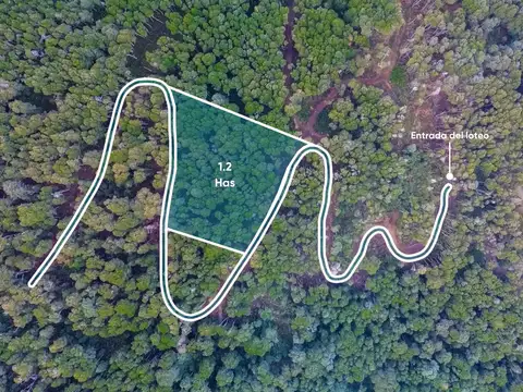 Fraccion para 12 casas ya con Servicios