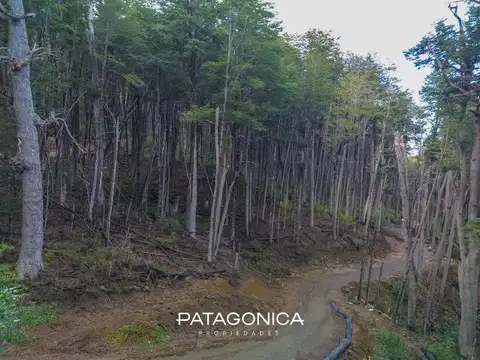 Fraccion para 12 casas ya con Servicios