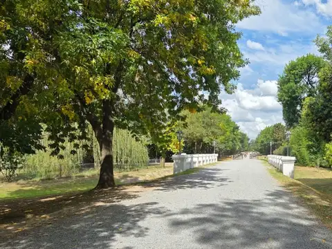 Country Santa Catalina 100