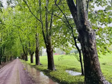 Terreno en Venta en San Miguel Del Monte, USD 39.000