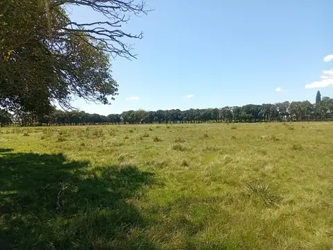 Campo en Venta Mixto