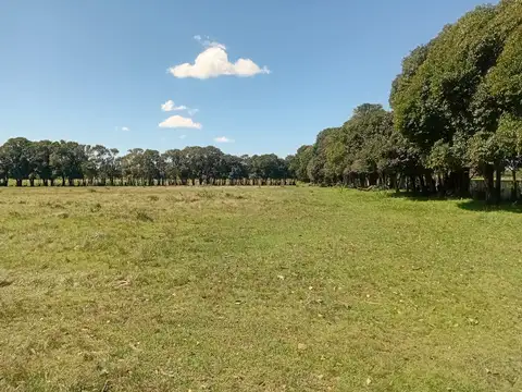 Venta de Hectareas en Zarate