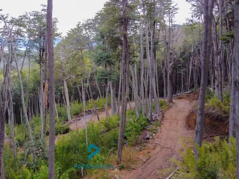 Terreno en Venta 36  mts Fondo