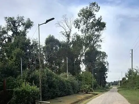 Terreno en Venta en Ignacio Correas Arana, USD 17.500