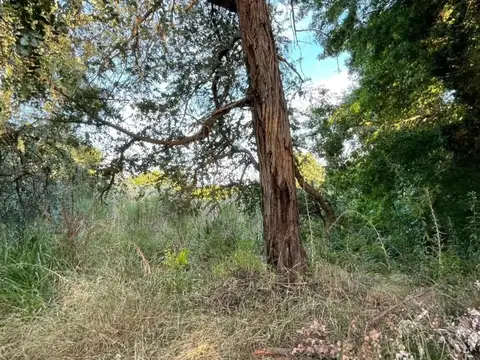 Terreno en Venta en Amancay  - Pilar, USD 74.000