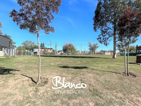 Santo Tomás -