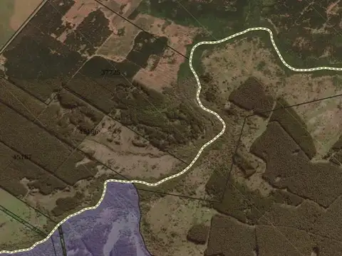 Campo en Pedernal