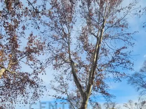 Oficina en Venta 2025 años