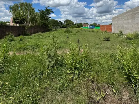 Terreno en Venta 20  mts Frente