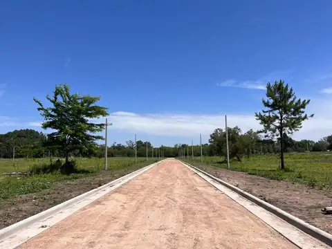 Entre calles Rauch y Paraguay