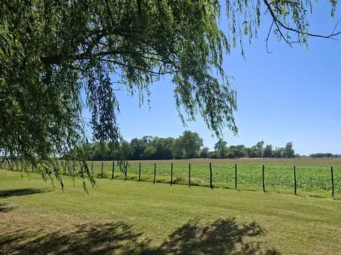 Excelente chacra de 10,6 has. en venta en Saladillo muy cerca de la ruta 205 y de la ciudad 