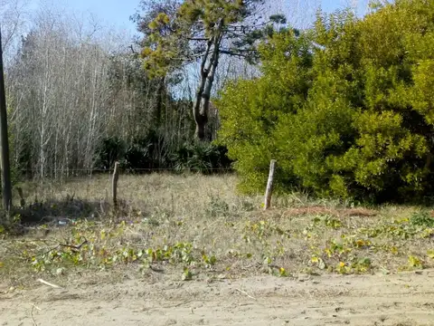 Terreno en Venta de 428,0 m2