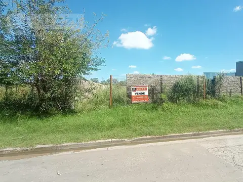 Cabildo  al 2100