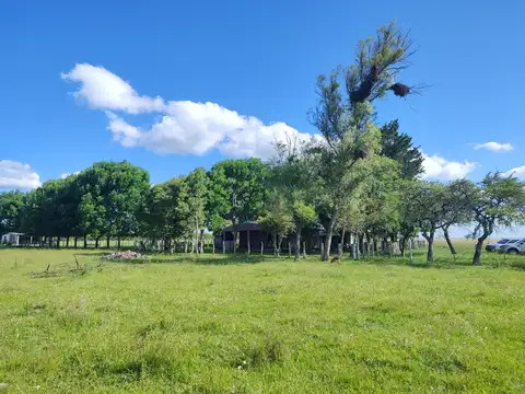 Campo en Venta de 100  ha