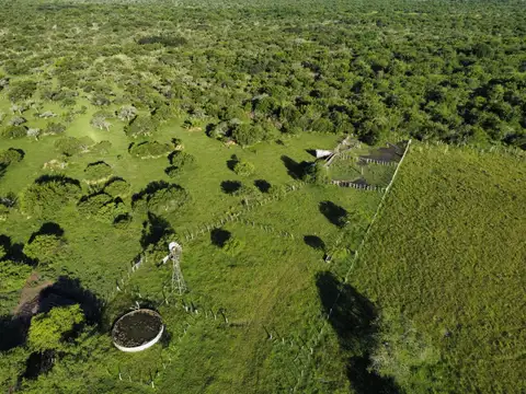 100 has campo ganadero agríc.