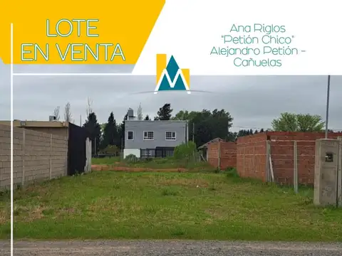 Petion chico -  Ana riglos