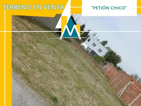 Petion chico -  Ana riglos