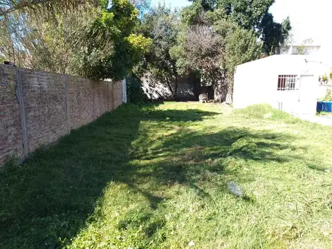 Lote centrico