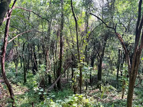 Terreno en Venta en La Lucinda, USD 80.000