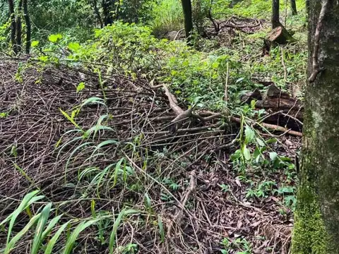 Terreno en Venta en La Lucinda, USD 80.000