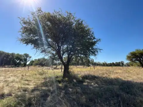 Venta de Terreno en Colonia Barón