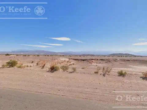 Campo 732  has en Venta Fiambala, Catamarca