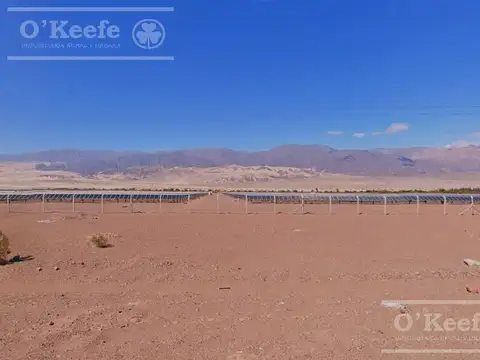 Campo 732  has en Venta Fiambala, Catamarca