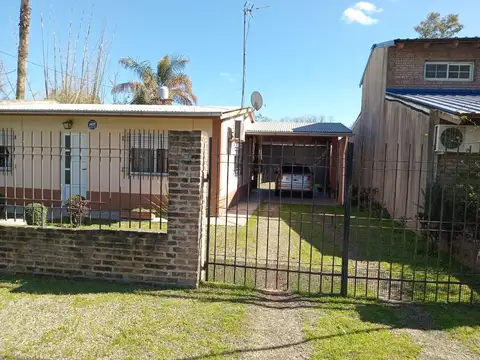 los lirios