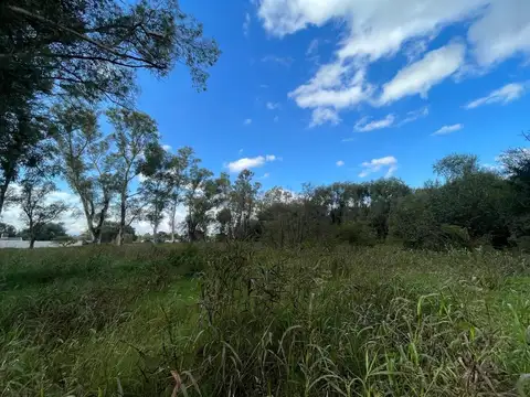 Terreno en Venta de 4805,0 m2