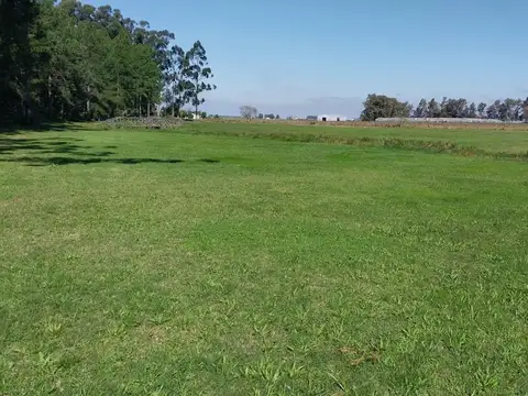 5 Lotes en Colina Carolina a 200mts de Laguna Pucu