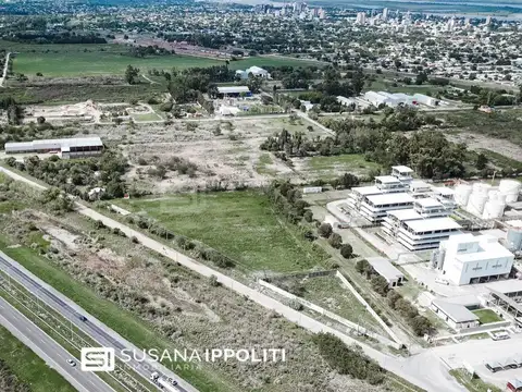 Terreno en Venta de 31000,0 m2