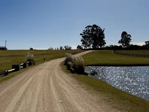 Terreno en Venta de 5000,0 m2